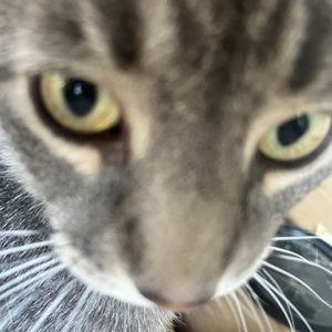 Meet your Posher, Kaitlyn